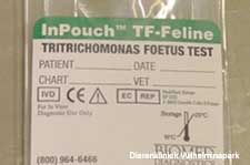 Tritrichomonas foetus veroorzaakt diarree bij raskatten in cattery's